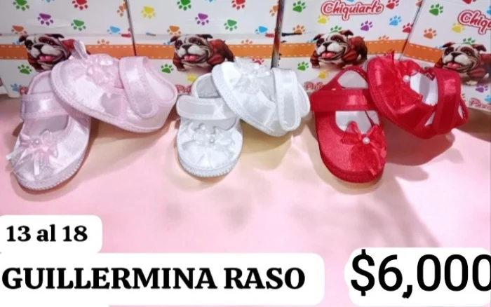 Zapatos Guillermina Razo