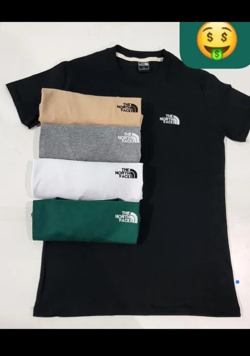 Remera North Face Adulto