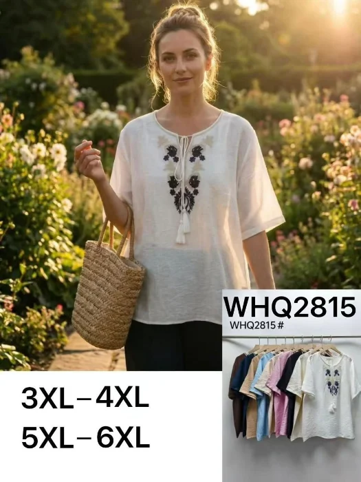 Blusa