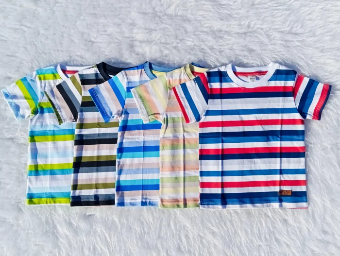 Remera Rayada