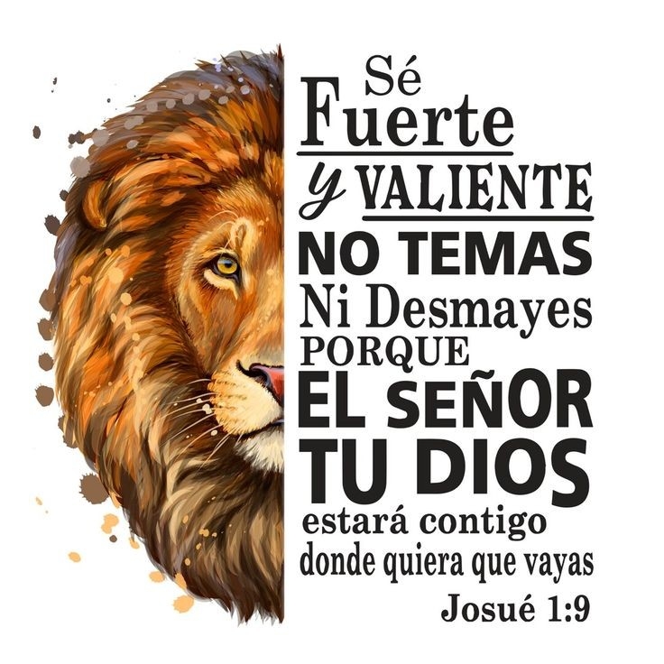 Dtf Cristianos en Alta Resolucion - Imagen 4