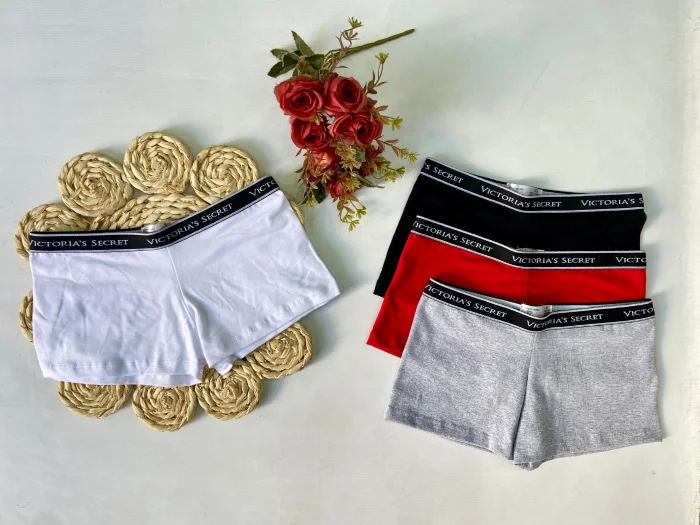 Boxer de Dama Vic Se
