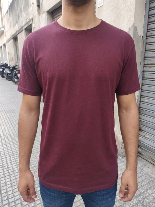Remeras Basicas