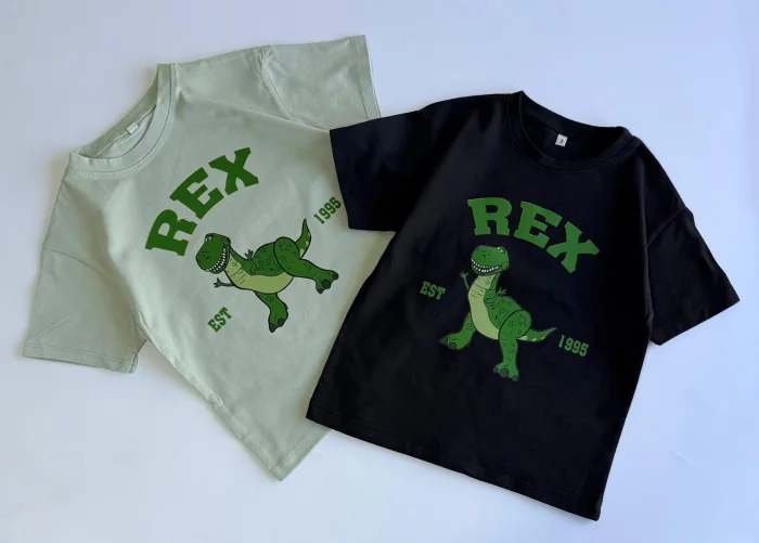 Remera Rex y Buzz