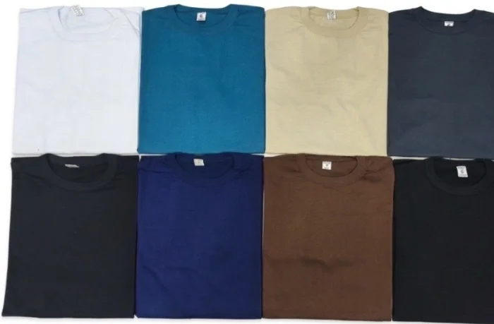 Remera Lisas