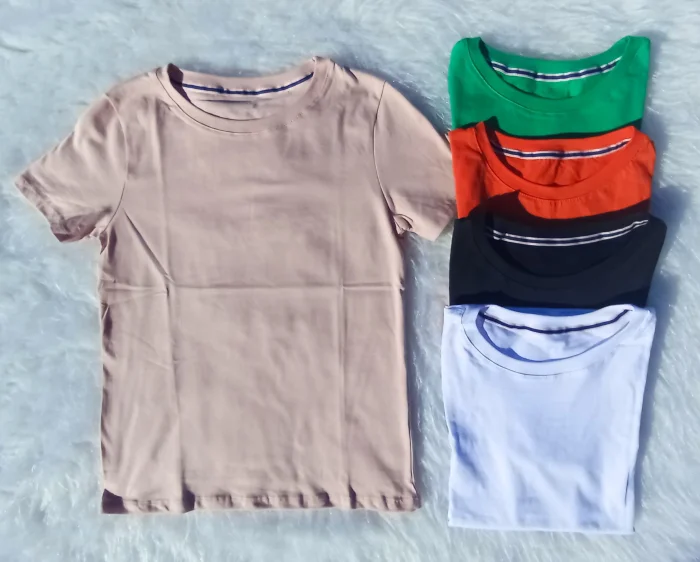 Remera Lisa