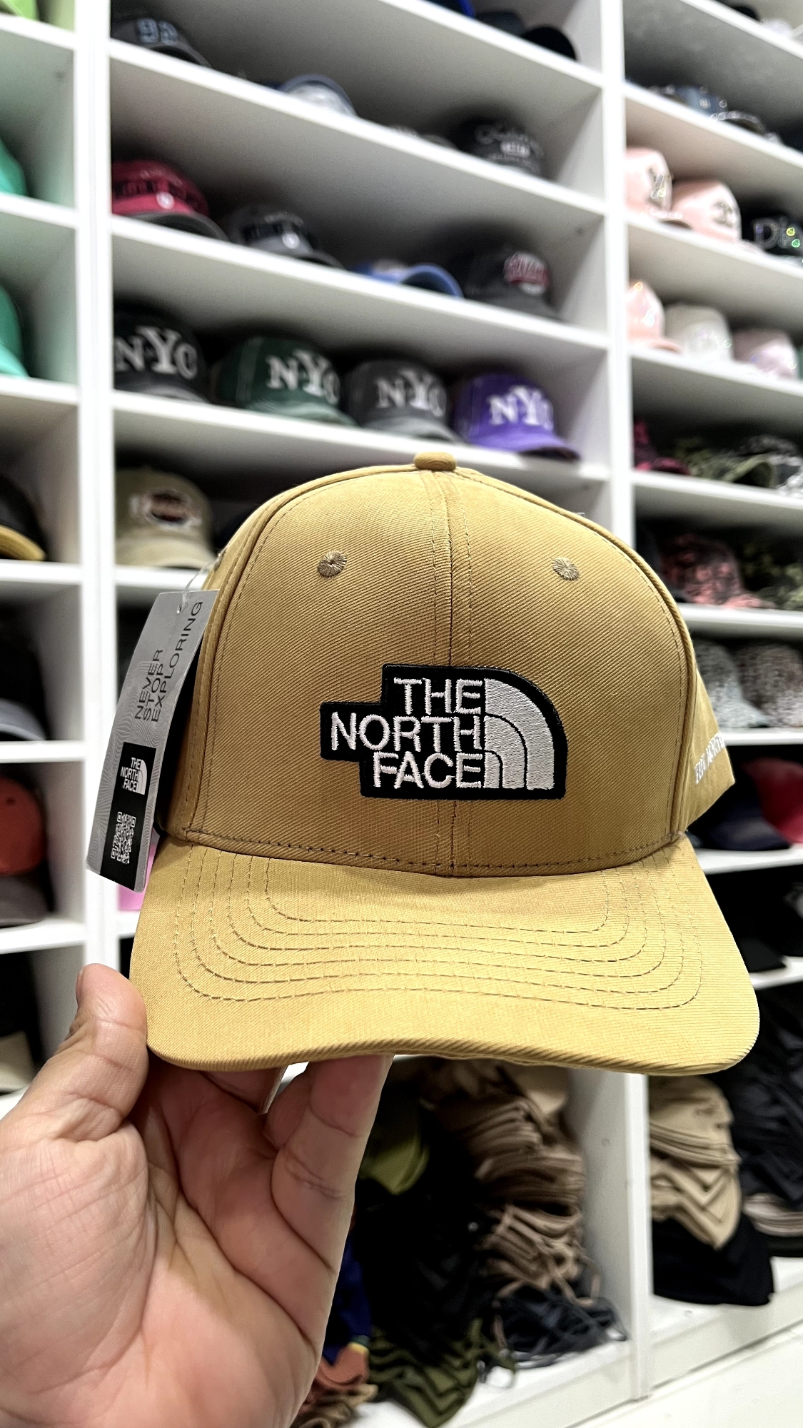 G.curva "tnf" - Imagen 2