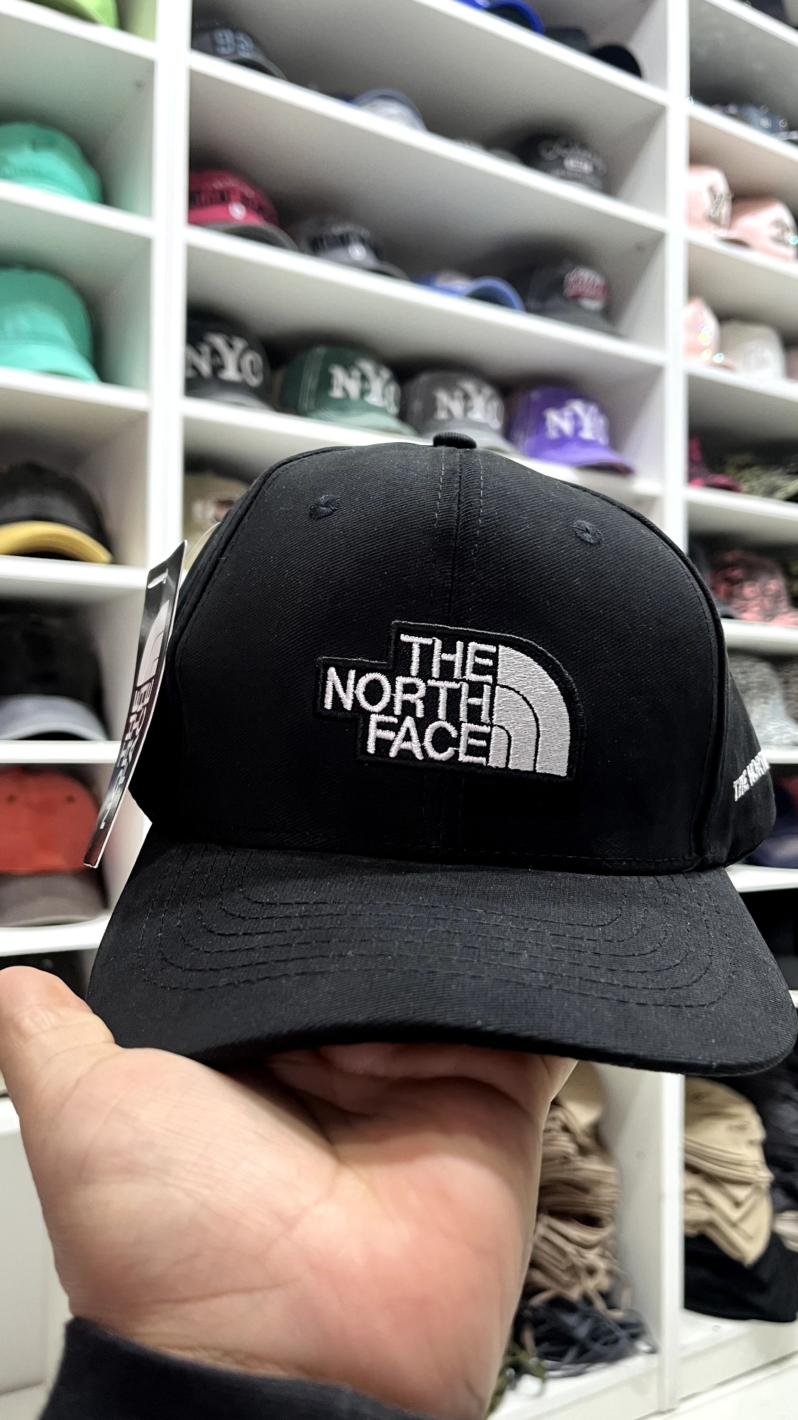 G.curva "tnf" - Imagen 4
