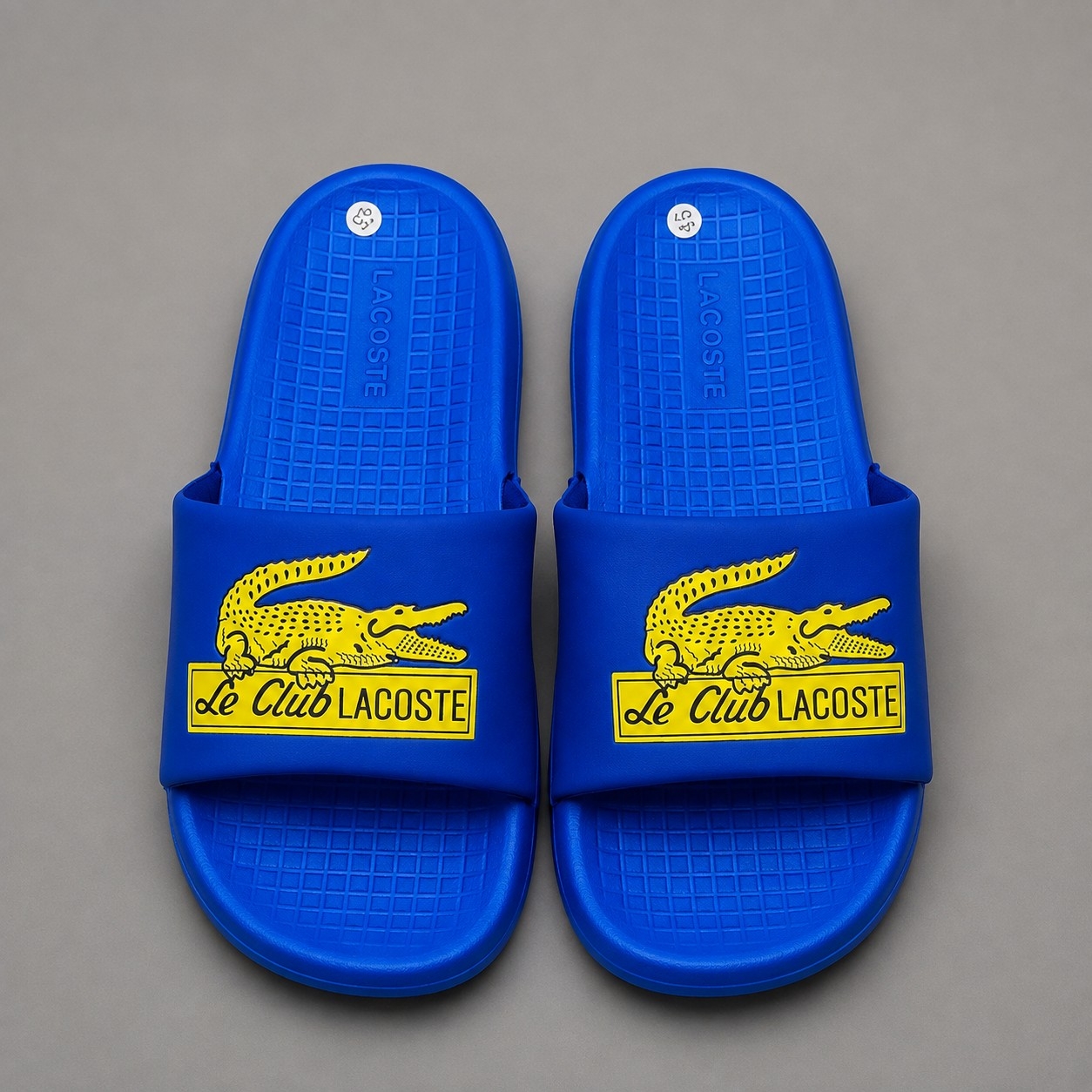 Chinelas/fajas Cocodrilo/lacost - Imagen 2