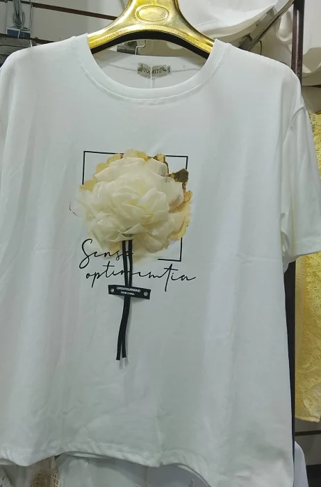 Remera de Algodon Importada