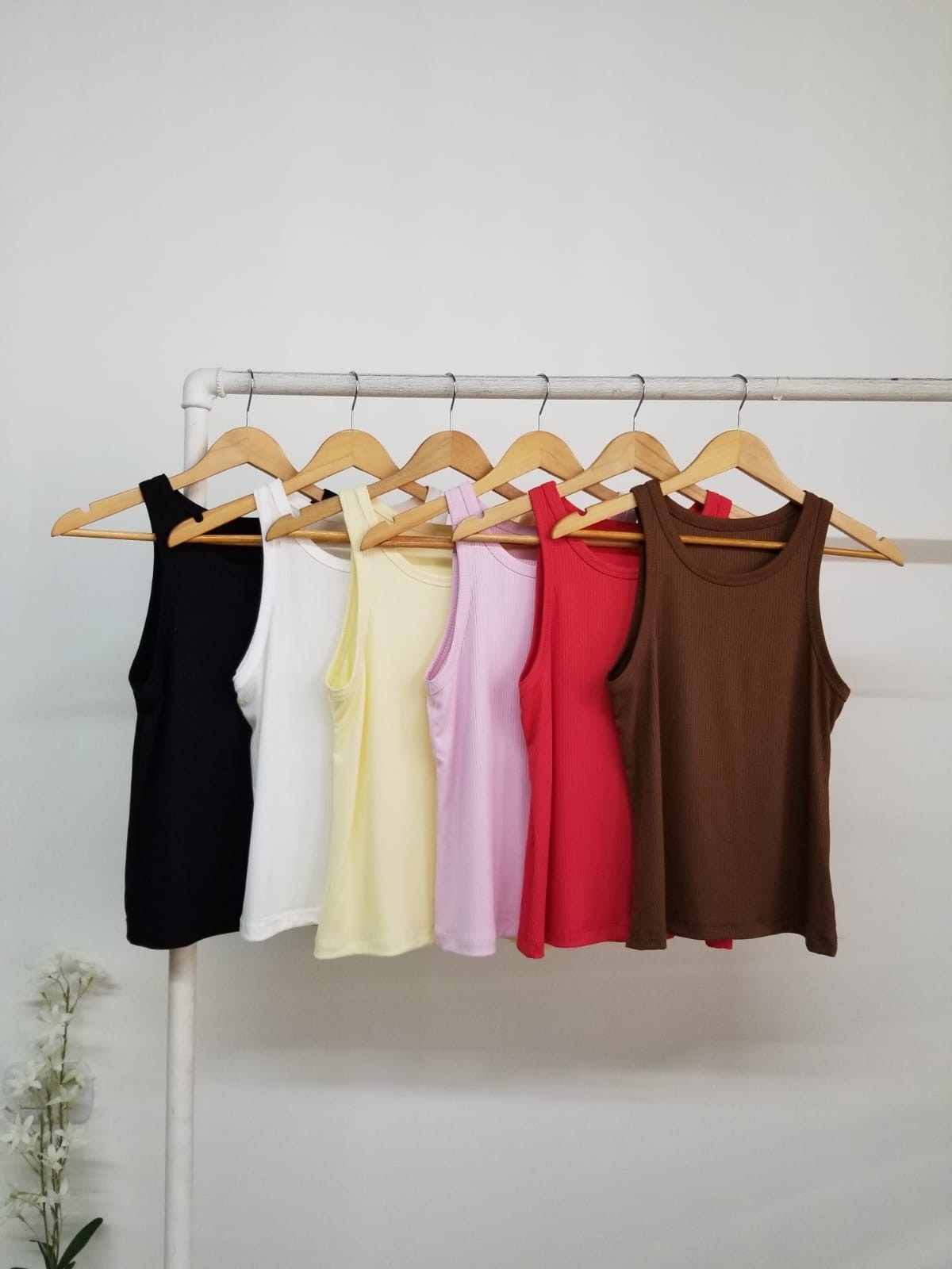 Musculosa Lucanor - Imagen 3