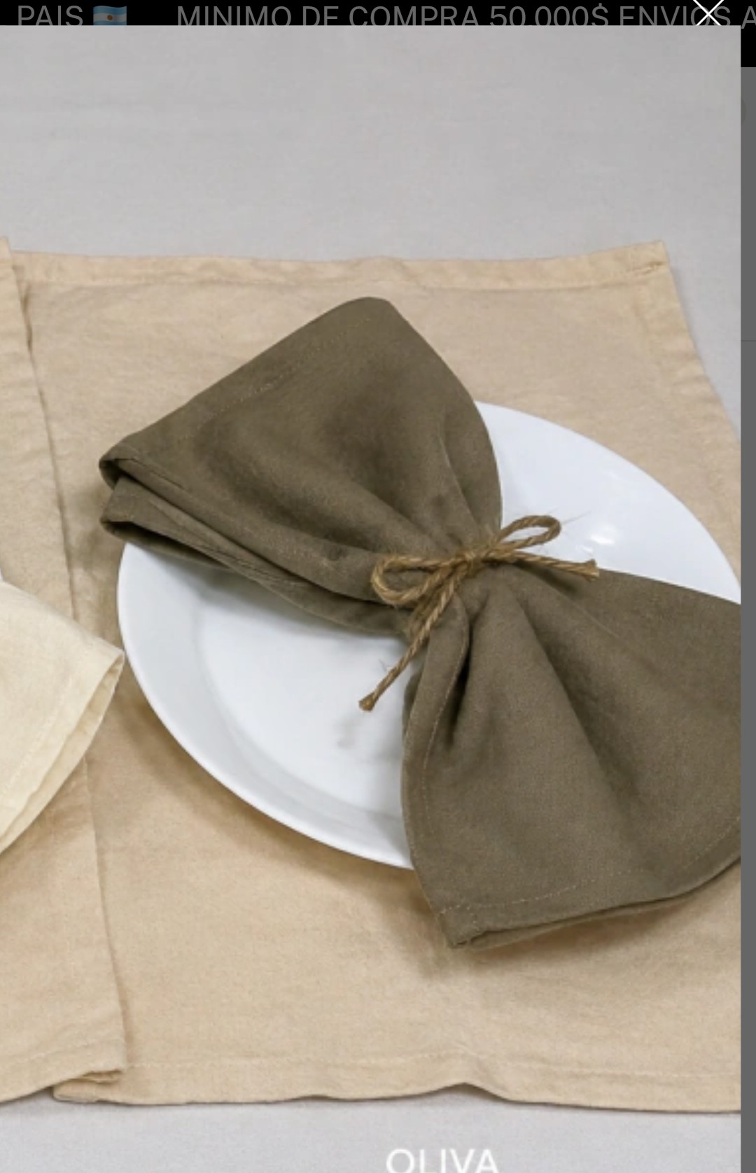 6 Servilletas de Tousor Liso - Imagen 4