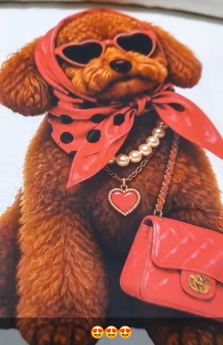 Remeras Art Perritos Diva ( Algodon Peinado 24.1) - Imagen 2