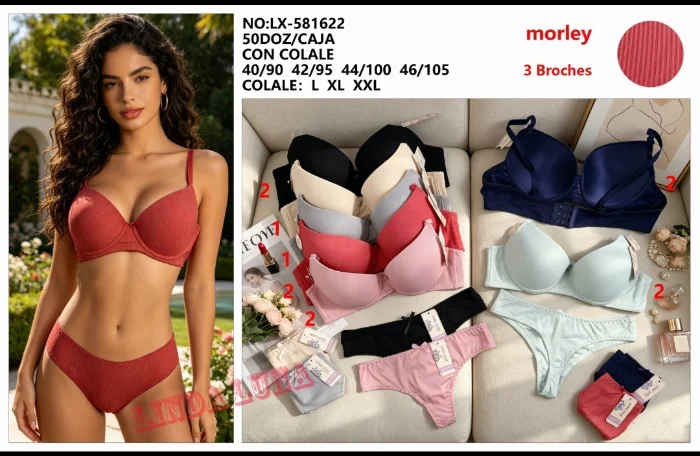 Conjuntos Morley