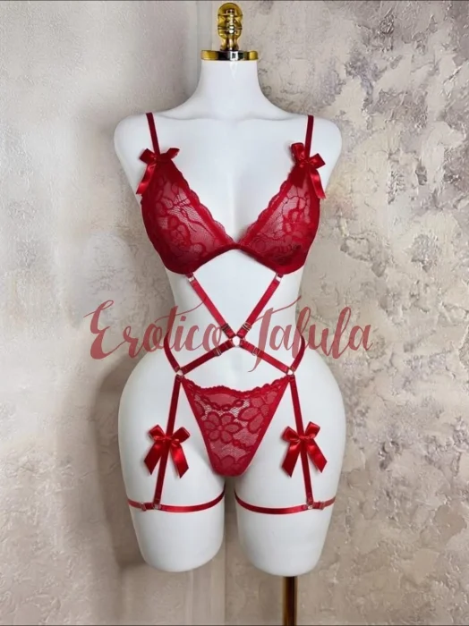 Conjunto Arnes 4 Moño