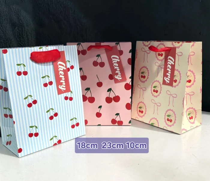Bolsa para Regalo