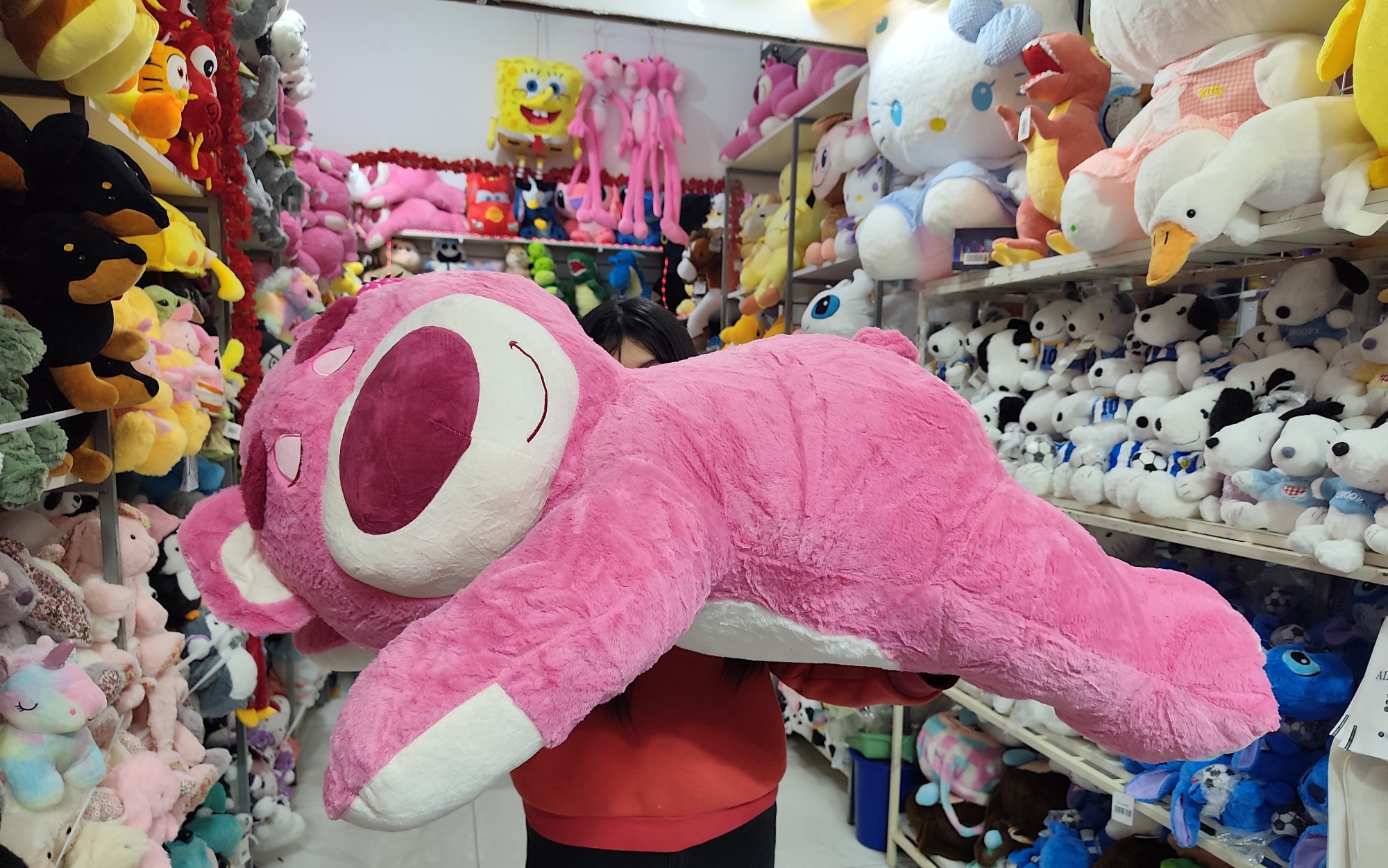 Lotso 1metro - Imagen 2