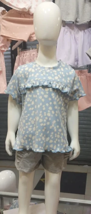 Remera Morley