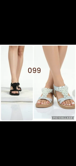 Art. 099
