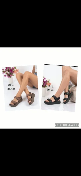 Art. Dakar