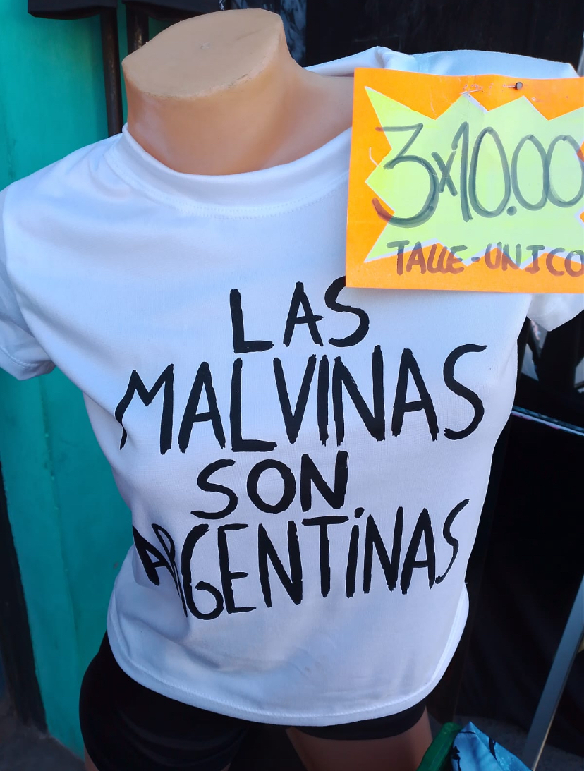 Remera (modal  Sof) - IMG_8558.jpeg