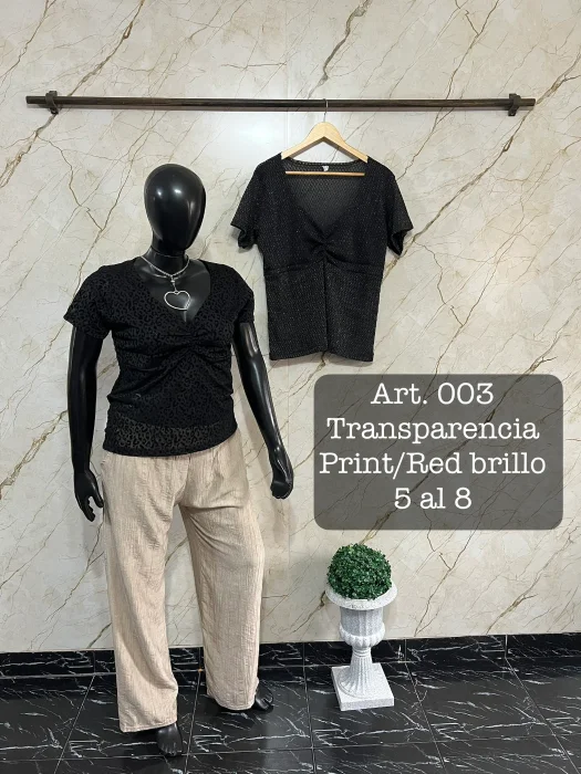 Art. 003