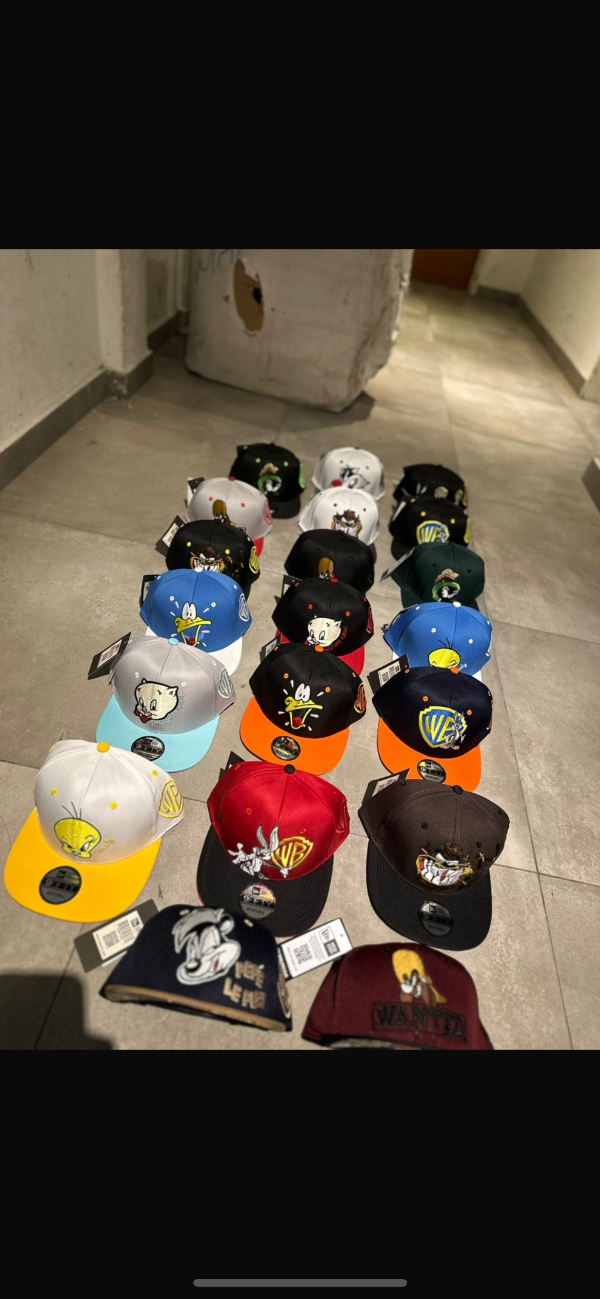 Gorras Importadas Curvas  Surtidos - IMG_3250.png