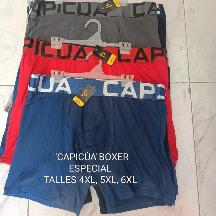 Capicua Boxer Especial Algodón Lisos