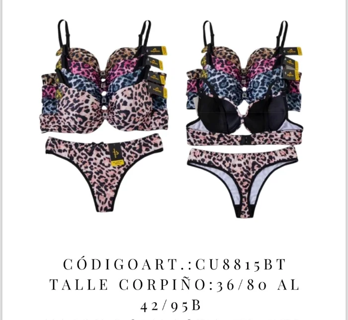 Conjunto de Corpiños