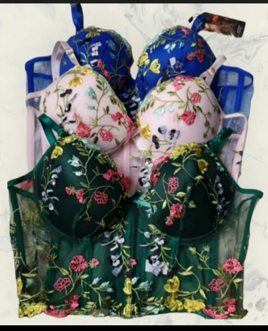 Corset Bordado Solo - Imagen 1