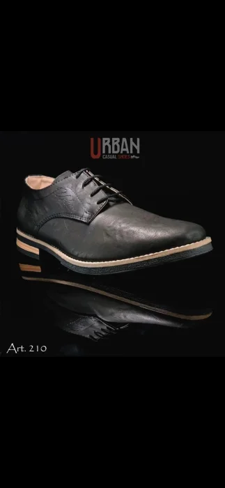 Art. 210 Urban