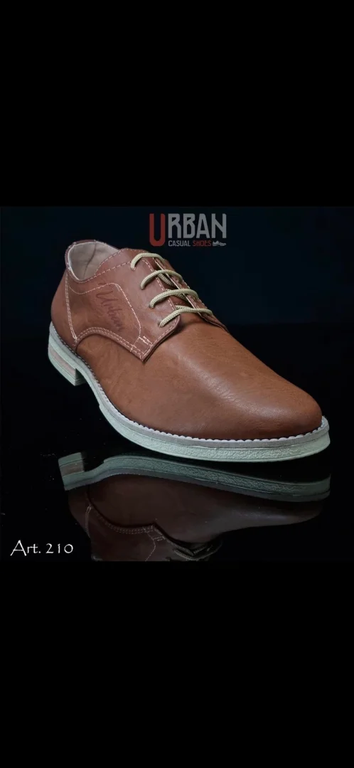 Art. 210 Urban - Imagen 2