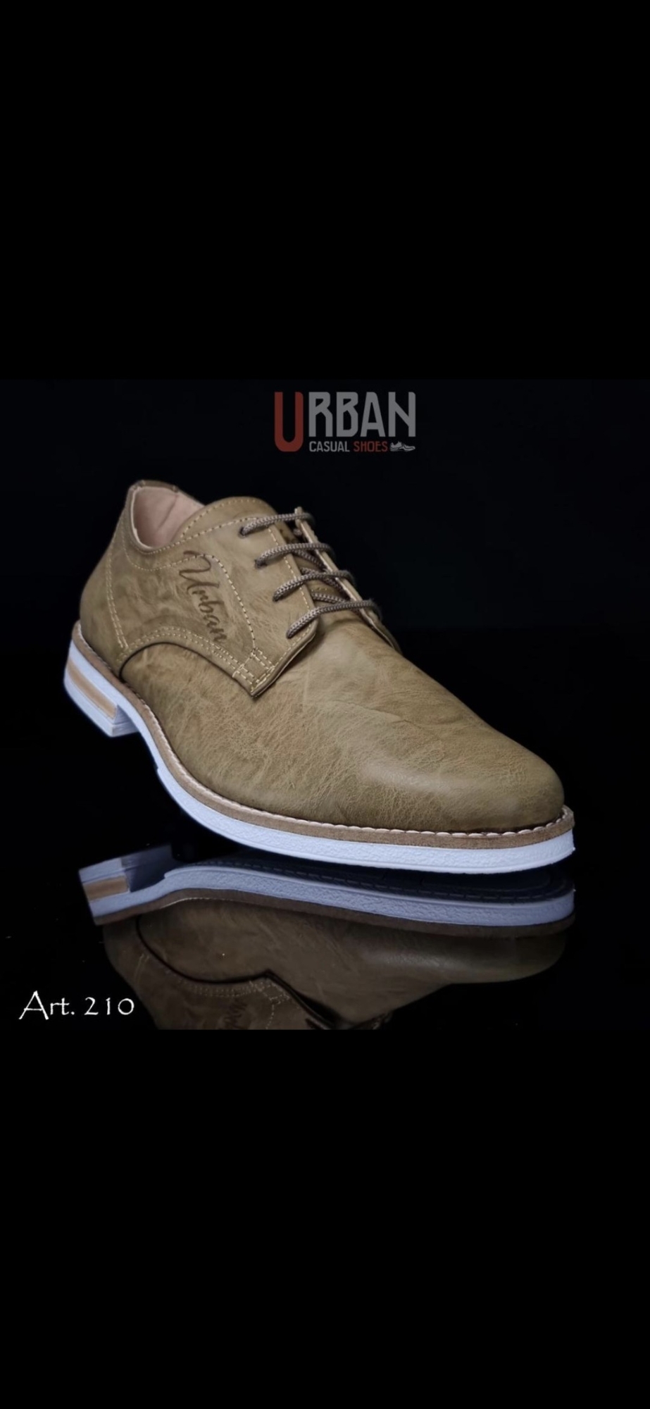 Art. 210 Urban - Imagen 3