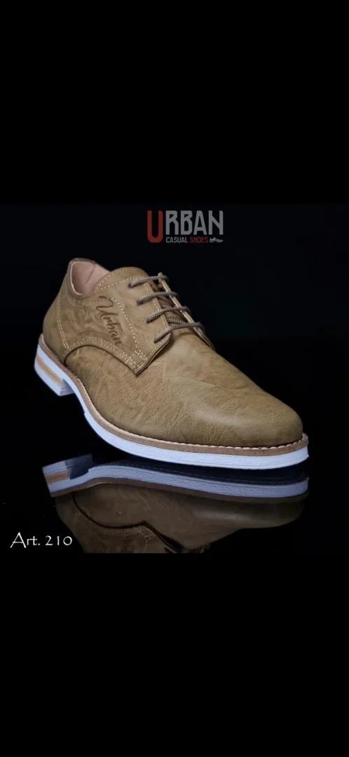Art. 210 Urban - Imagen 3