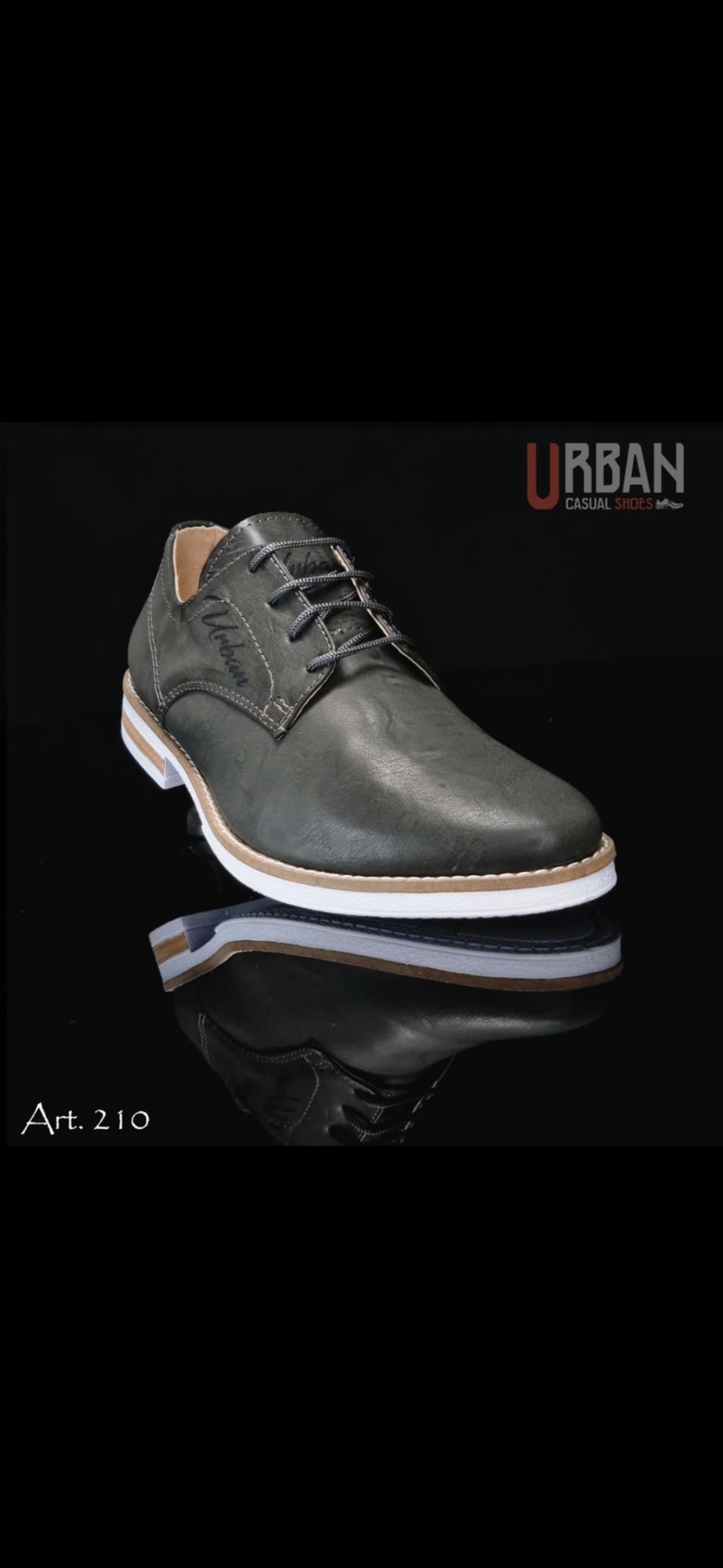 Art. 210 Urban - Imagen 4