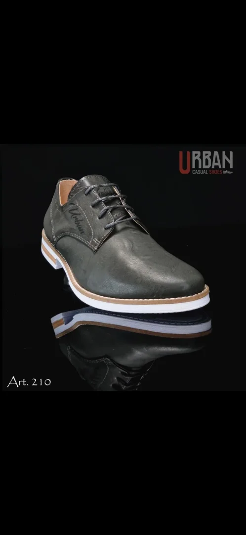Art. 210 Urban - Imagen 4