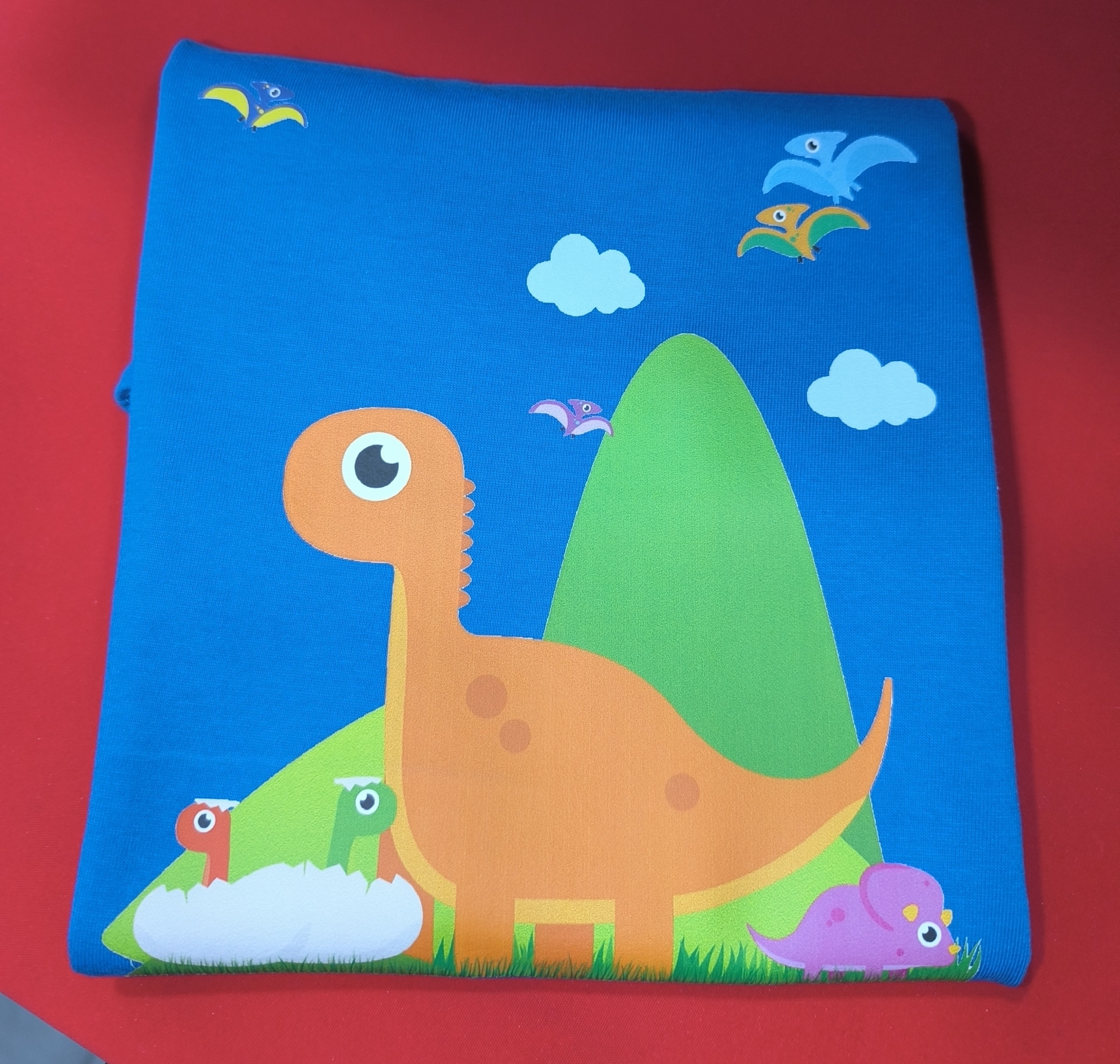 Remeras de Niño Unisex - Imagen 6