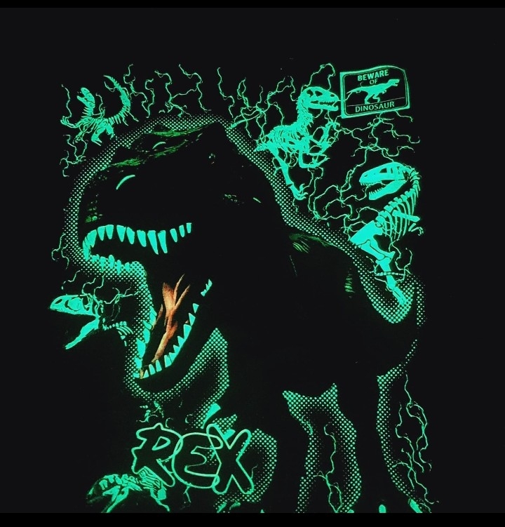Dinosario T Rex que Brillan en la Oscuridad de Niño - Imagen 2