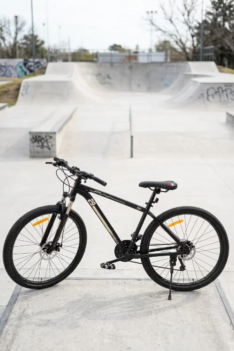 Bicicleta Fiat Rodado 29