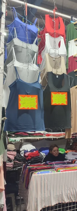 Musculosa Basica