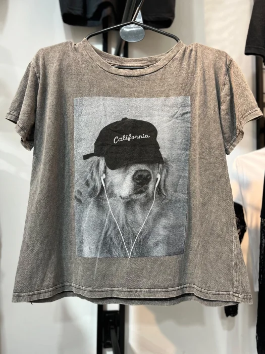 Remera Corte Clásico Prelavado Batik 01 California