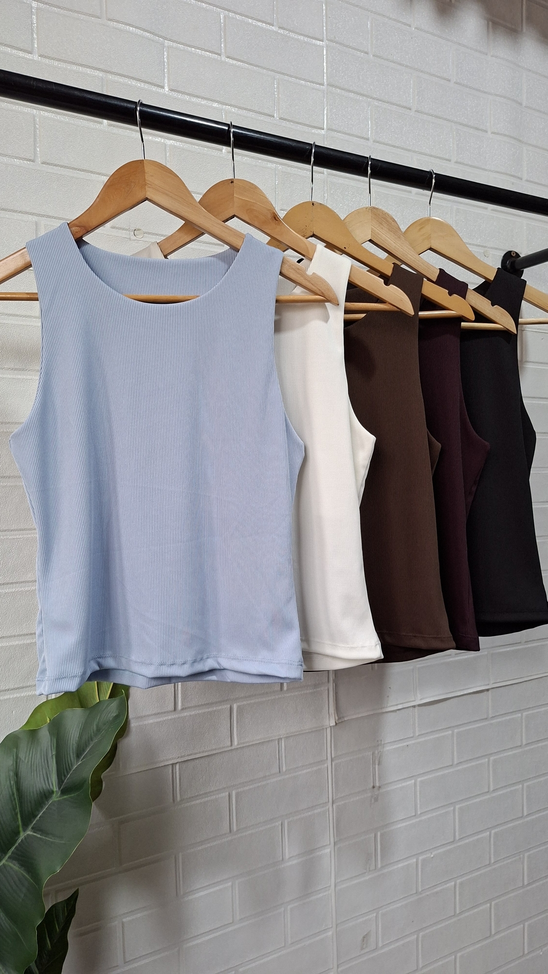 Musculosa Luna - Imagen 3