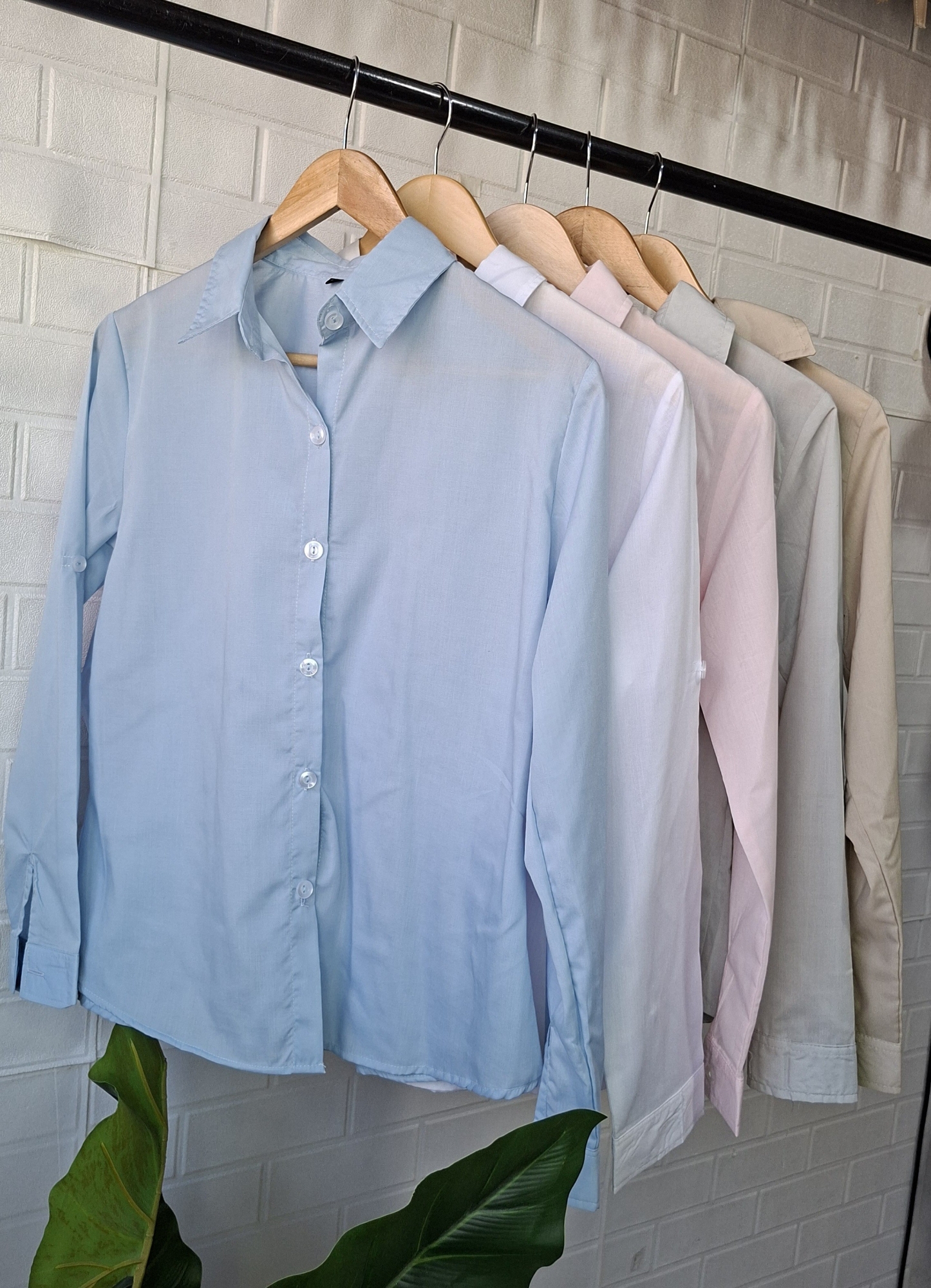 Camisa Lisa - Imagen 5