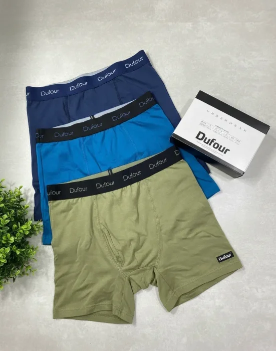 Boxer Dufour