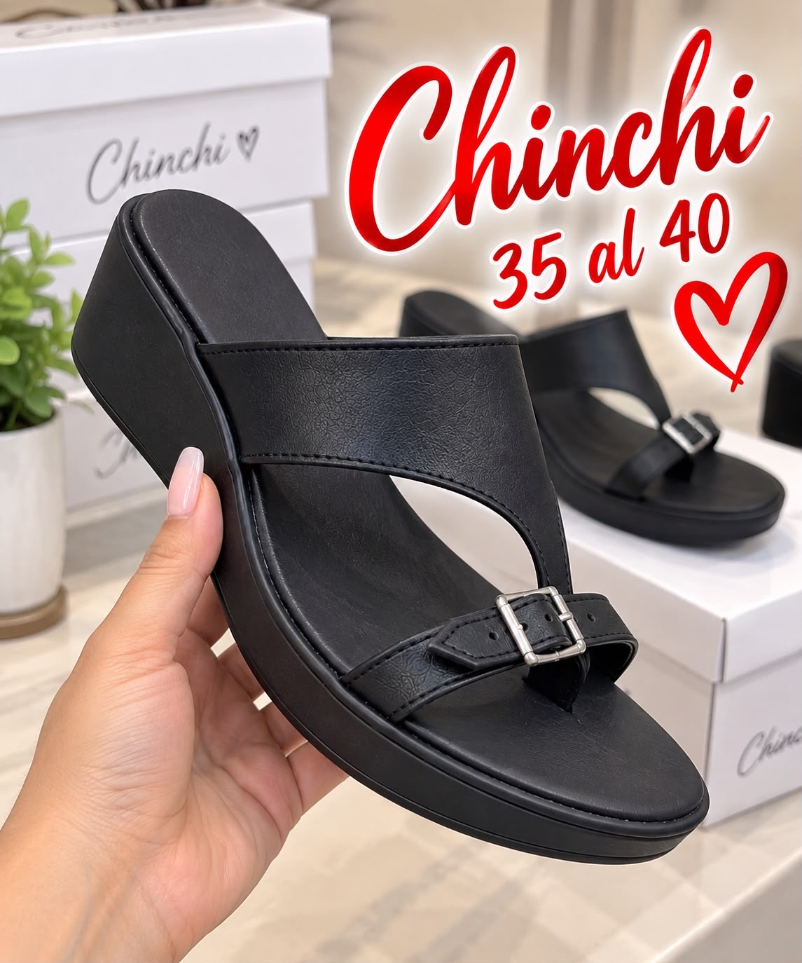 Chinchi - e4792fb0-7d98-4f67-a290-4dce5c429b11.jpeg