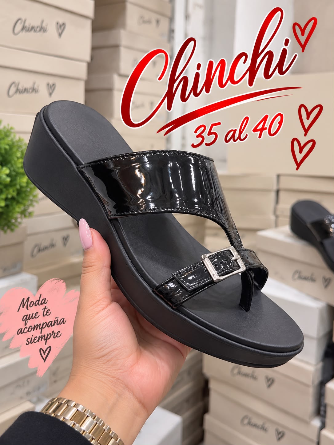 Chinchi - dd3853b6-5f85-47de-9574-080d25639688.jpeg