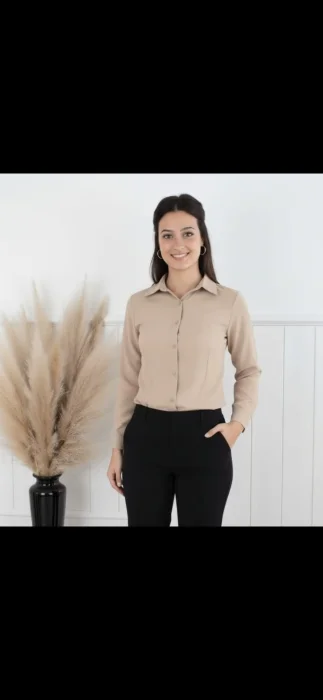Camisas Lisas