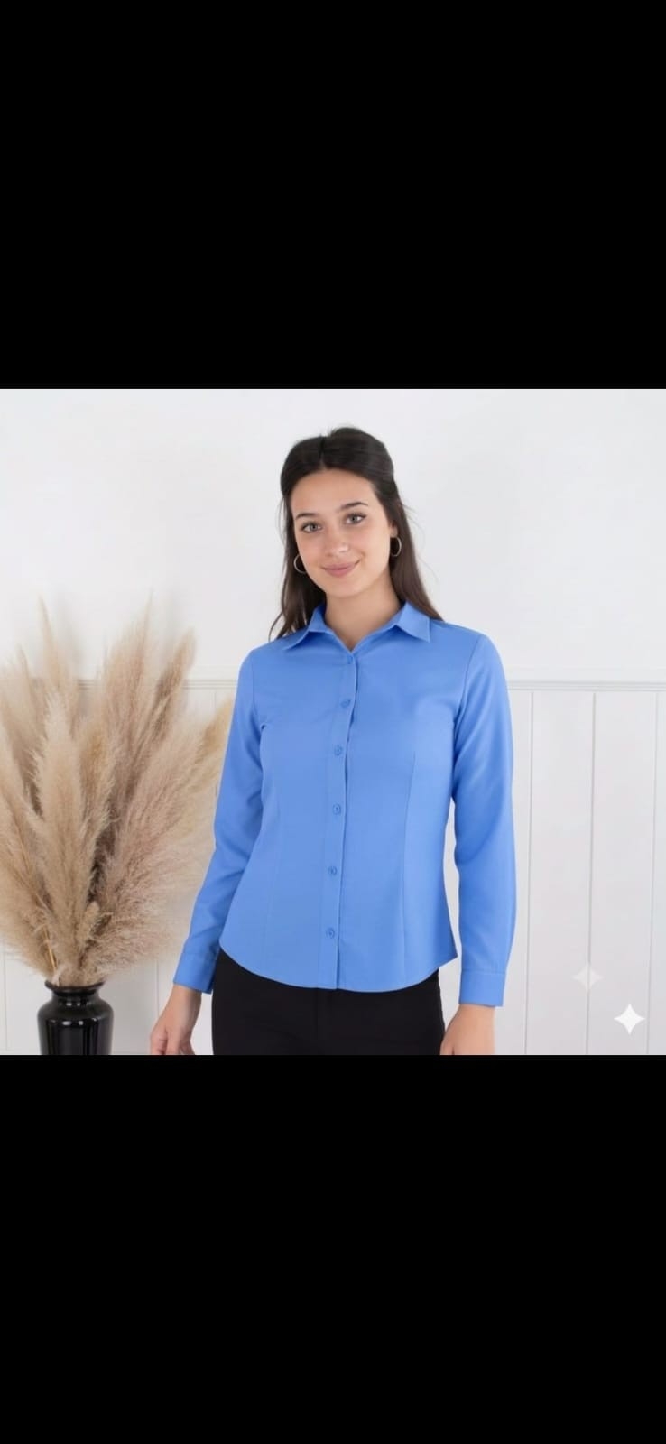 Camisas Lisas - Imagen 2