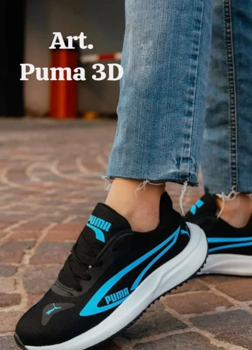 Zapa 3d