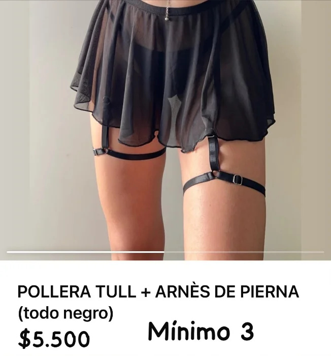 Pollera Erotica
